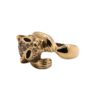 IMG_8529